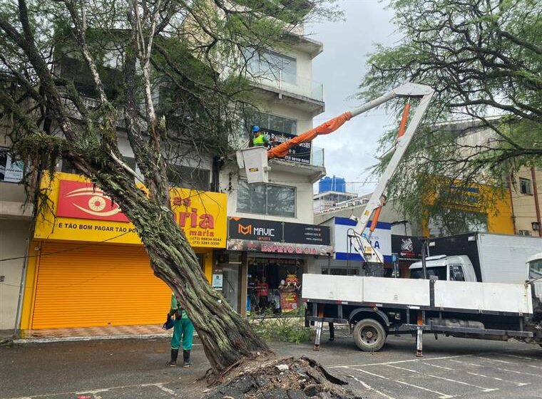  Força-tarefa da Prefeitura de Eunápolis remove árvore que inclinou no centro de Eunápolis durante chuvas